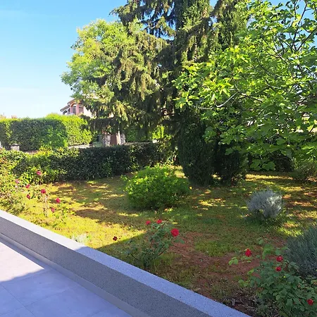 Elinor 2 Appartamento