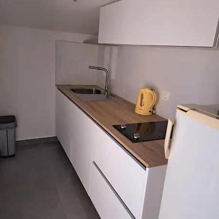 公寓 Elinor 2 罗维尼