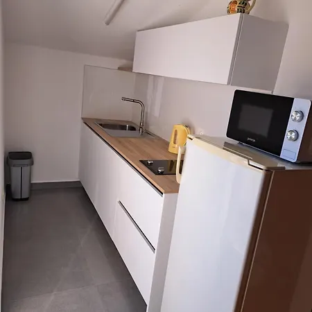 Elinor 2 公寓 罗维尼