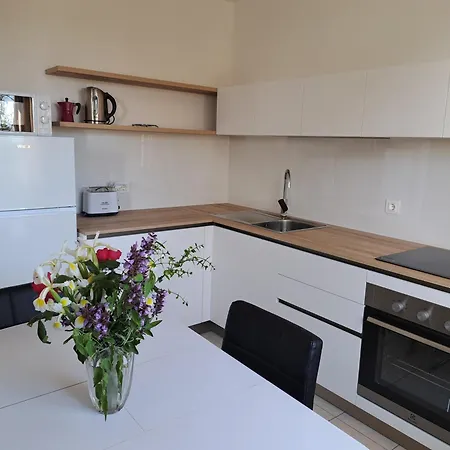 公寓 Elinor 2 罗维尼