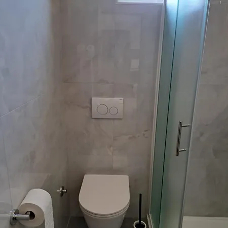 公寓 Elinor 2 罗维尼