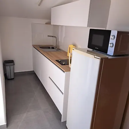 公寓 Elinor 2 罗维尼