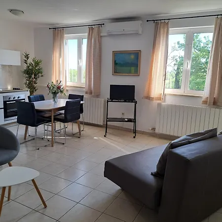 Elinor 2 公寓 罗维尼