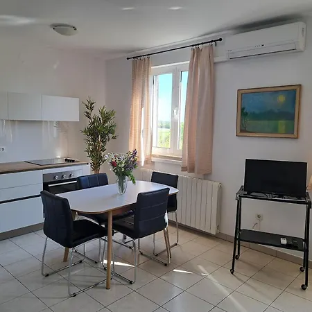 Elinor 2 公寓 罗维尼