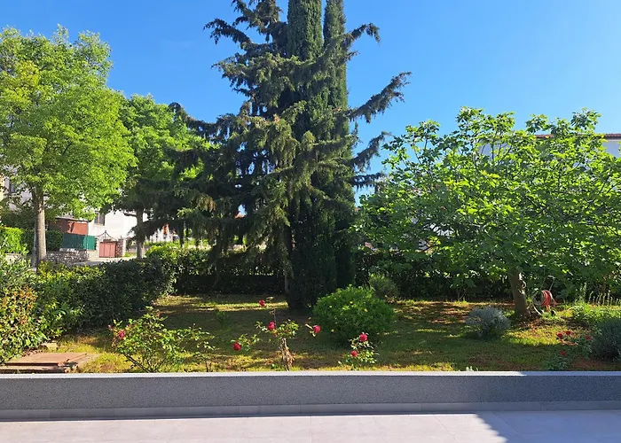 Elinor 2 * Ρόβινι