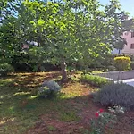 Apartmán Elinor 2