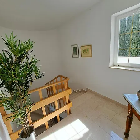 Apartman Elinor 2