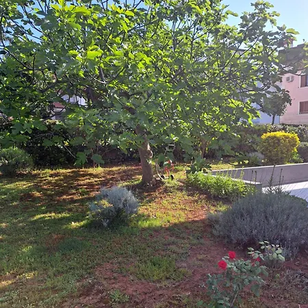 Apartman Elinor 2