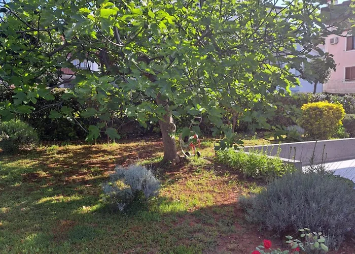 Apartmán Elinor 2